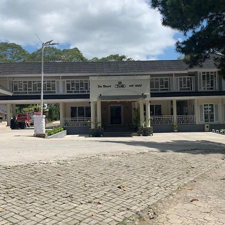 Tambi Tea Resort Kejajar 외부 사진