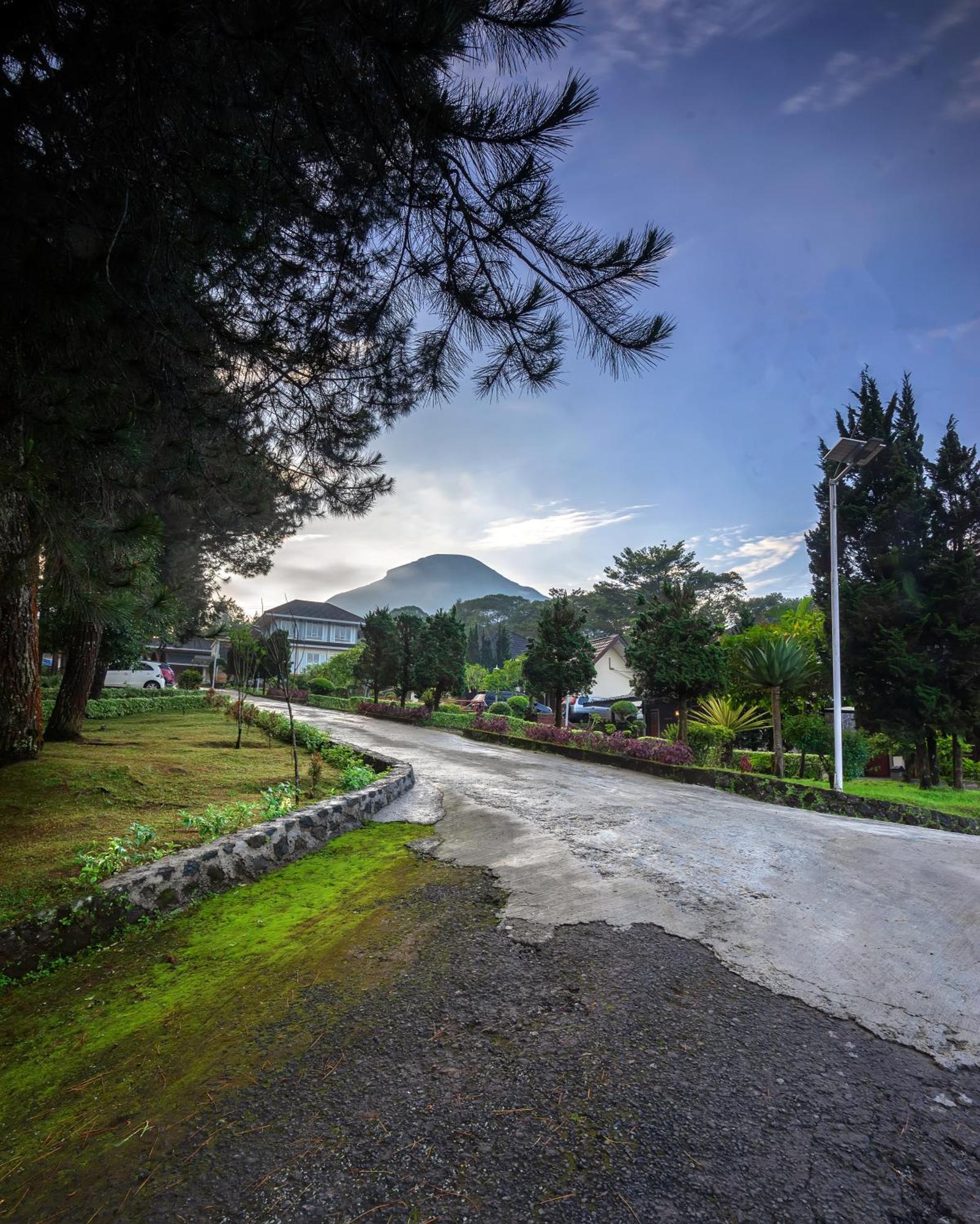 Tambi Tea Resort Kejajar 외부 사진